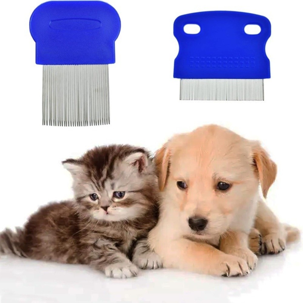 6Pcs/Set ABS Flea Comb Set Fin - مراجعة Comb Fine Tooth وسعره